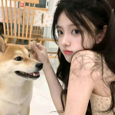 驸马大人请指教